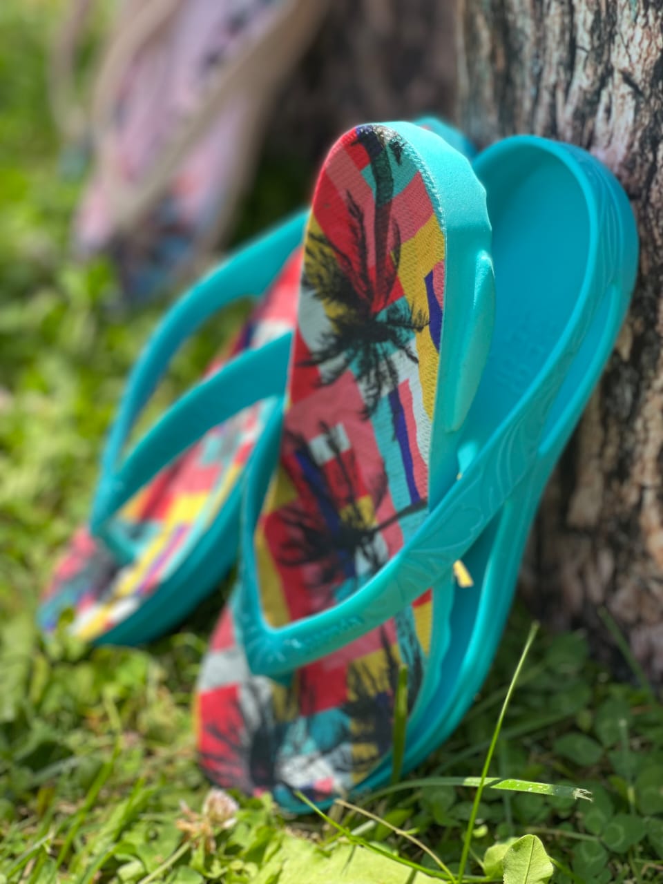 LILLY F – THE CLASSIC THAT CONQUERED BRAZIL