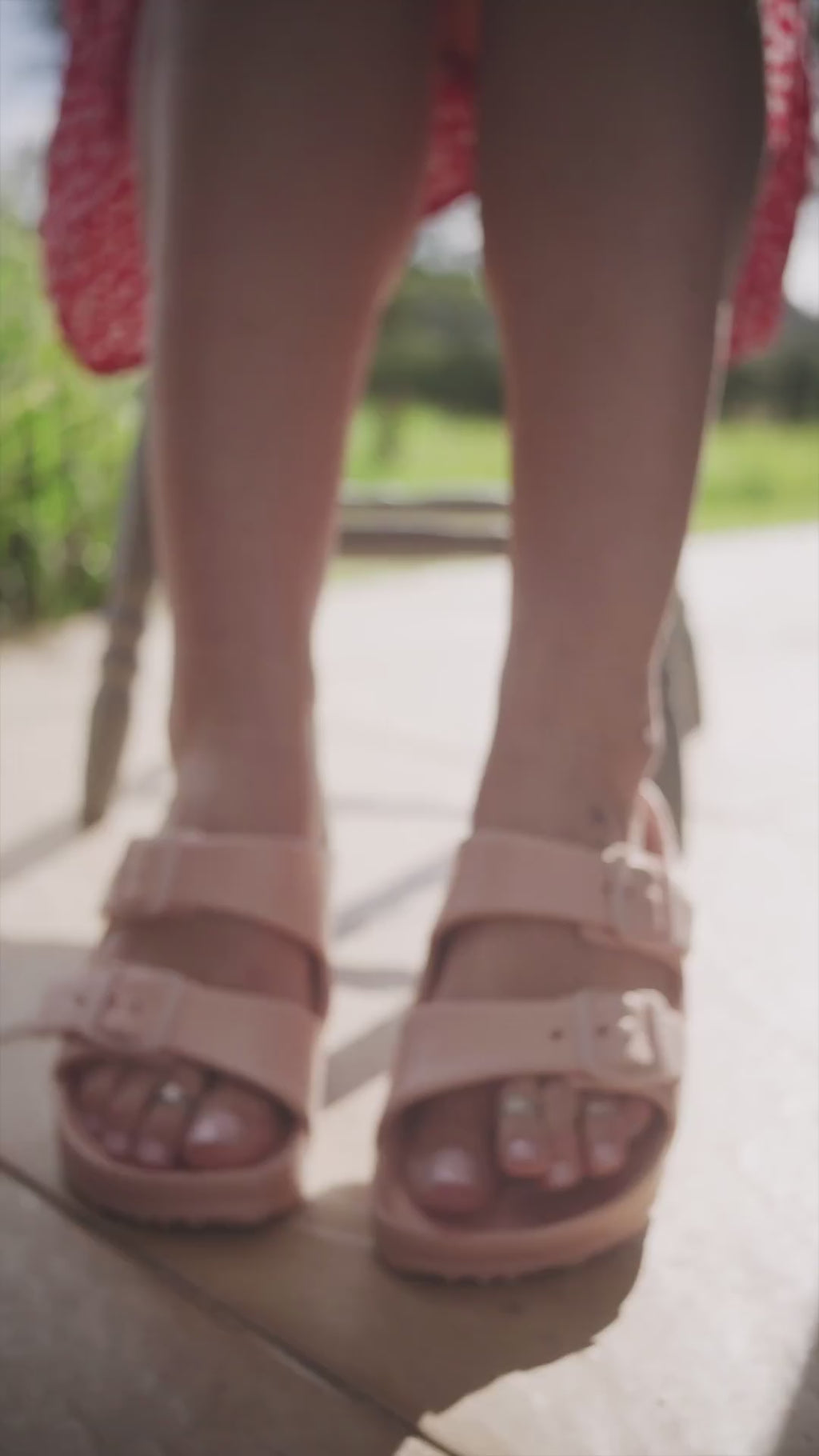 birken